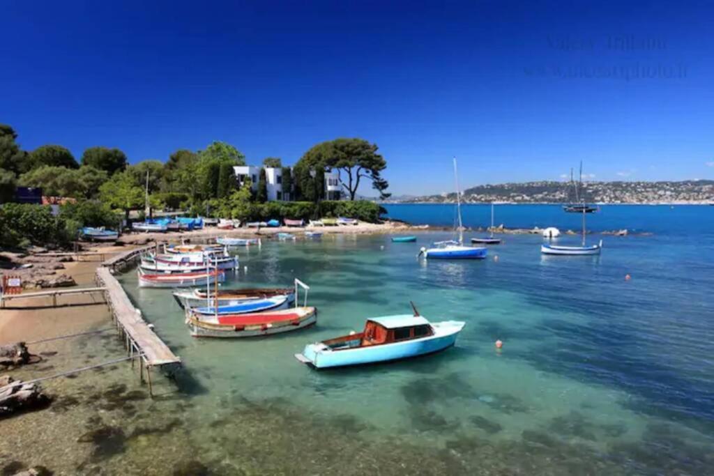 Coeur De Juan, Calme, 300M Plages - Easy Check-In Antibes Exterior photo