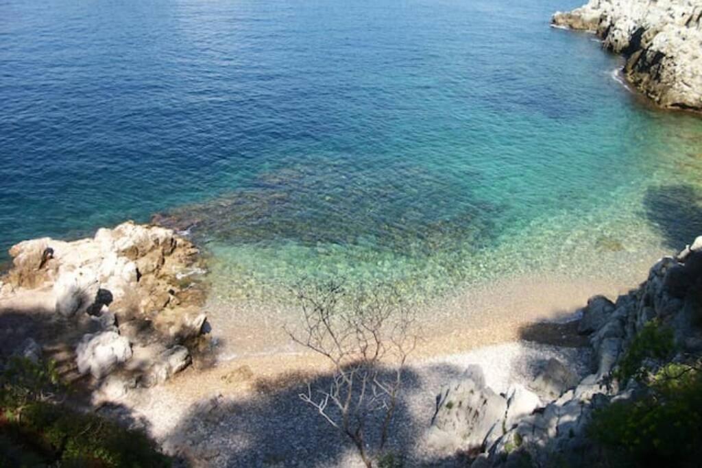 Coeur De Juan, Calme, 300M Plages - Easy Check-In Antibes Exterior photo